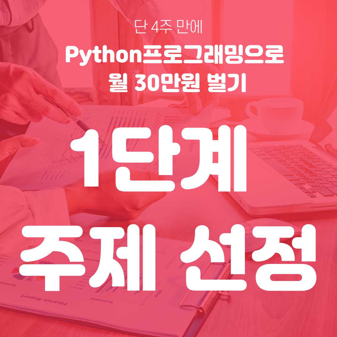 단 4주 만에 Python 프로그래밍으로 월 30만원 벌기_1단계 주제 선정